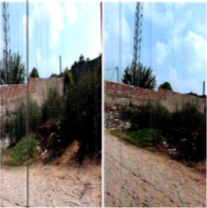 EAGLE SALE NOTICE_000146241